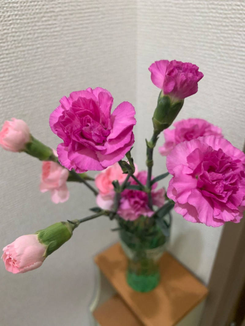 新人 琴葉(ことは)の写メ